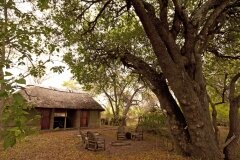 bush-camp-1